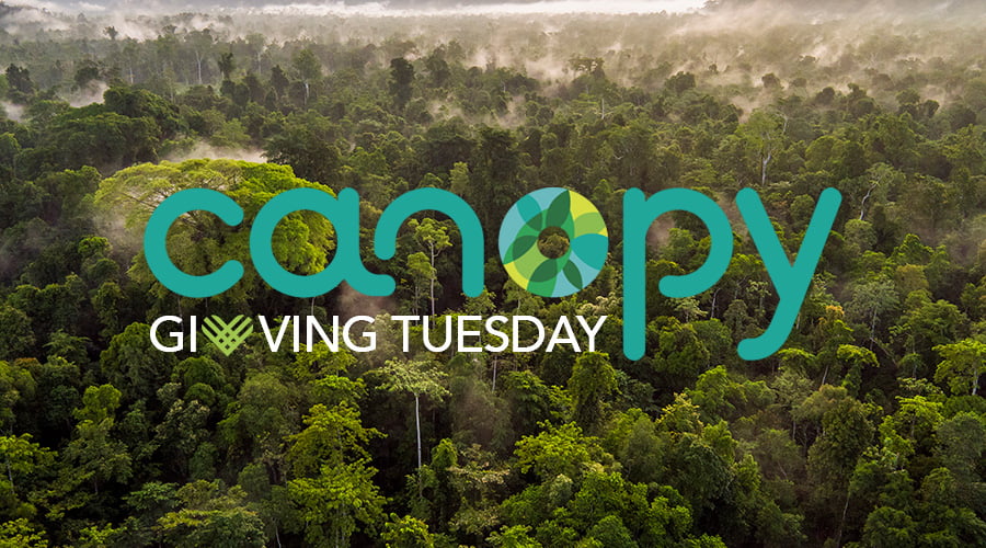 Giving Tuesday Canopy protect forests and climate